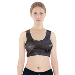 World Map Sports Bra With Pocket by BangZart