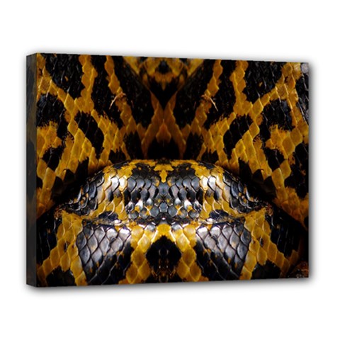 Textures Snake Skin Patterns Canvas 14  X 11  by BangZart