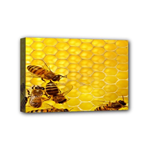 Sweden Honey Mini Canvas 6  X 4  by BangZart