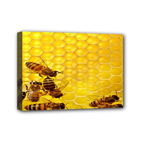 Sweden Honey Mini Canvas 7  X 5  by BangZart