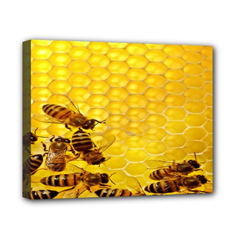 Sweden Honey Canvas 10  X 8  by BangZart