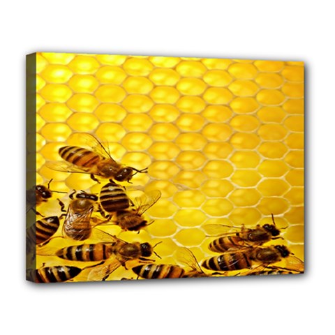 Sweden Honey Canvas 14  X 11  by BangZart