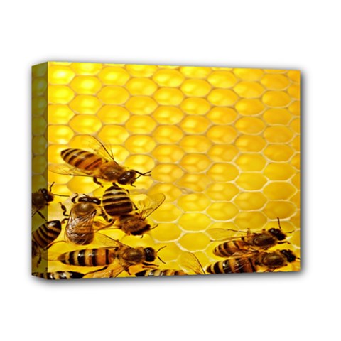 Sweden Honey Deluxe Canvas 14  X 11  by BangZart