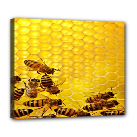 Sweden Honey Deluxe Canvas 24  X 20   by BangZart