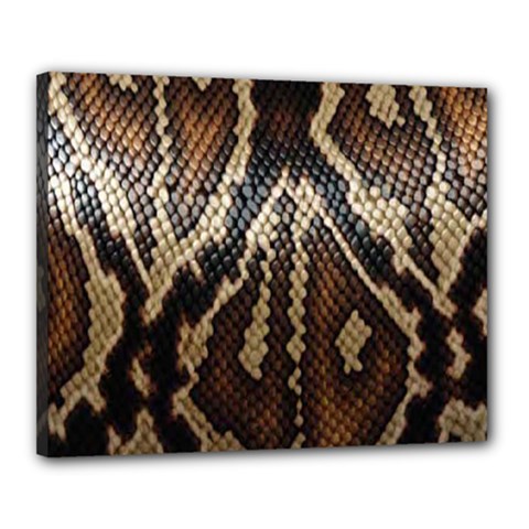 Snake Skin O Lay Canvas 20  X 16  by BangZart