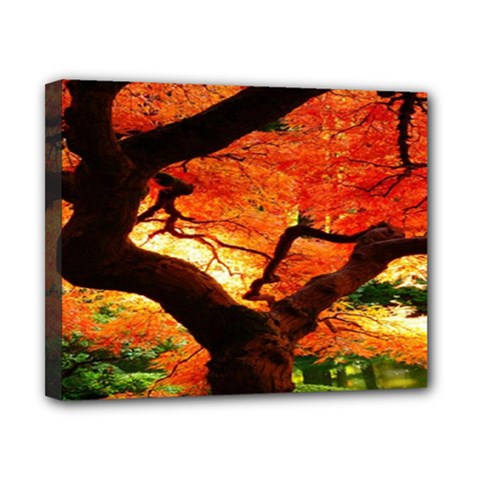 Maple Tree Nice Canvas 10  X 8  by BangZart