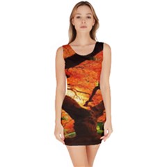 Maple Tree Nice Sleeveless Bodycon Dress by BangZart