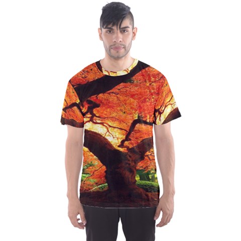 Maple Tree Nice Men s Sports Mesh Tee by BangZart