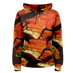 Maple Tree Nice Women s Pullover Hoodie by BangZart