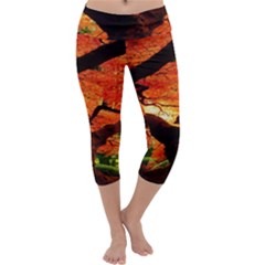 Maple Tree Nice Capri Yoga Leggings by BangZart