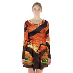 Maple Tree Nice Long Sleeve Velvet V-neck Dress by BangZart