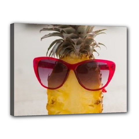 Pineapple With Sunglasses Canvas 16  X 12  by LimeGreenFlamingo