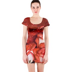 Nice Rose With Water Short Sleeve Bodycon Dress by BangZart