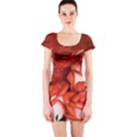 Nice Rose With Water Short Sleeve Bodycon Dress View1