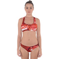 Nice Rose With Water Cross Back Hipster Bikini Set by BangZart