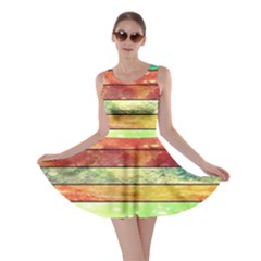 Stripes Color Oil Skater Dress by BangZart