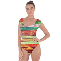 Stripes Color Oil Short Sleeve Leotard  by BangZart