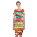 Stripes Color Oil Classic Short Sleeve Midi Dress View1