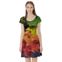 Green Yellow Red Maple Leaf Short Sleeve Skater Dress by BangZart