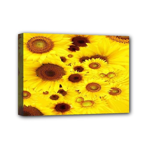 Beautiful Sunflowers Mini Canvas 7  X 5  by BangZart