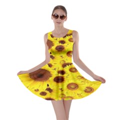 Beautiful Sunflowers Skater Dress by BangZart