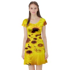 Beautiful Sunflowers Short Sleeve Skater Dress by BangZart