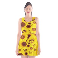 Beautiful Sunflowers Scoop Neck Skater Dress by BangZart