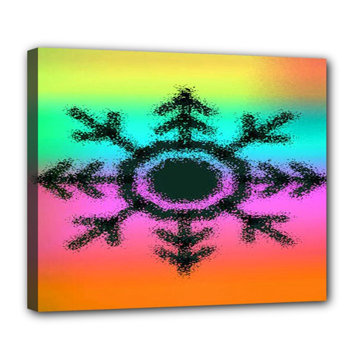 Vector Snowflake Deluxe Canvas 24  x 20  