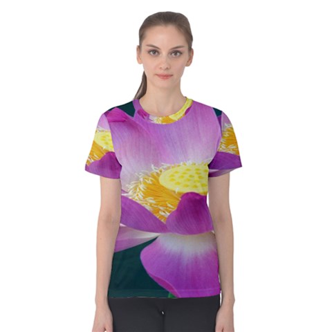 Pink Lotus Flower Women s Cotton Tee by BangZart