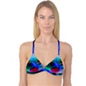 Abstract Color Plants Reversible Tri Bikini Top View1