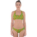 Green Red Brown Zig Zag Background Cross Back Hipster Bikini Set View1