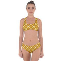 Snake Abstract Pattern Criss Cross Bikini Set