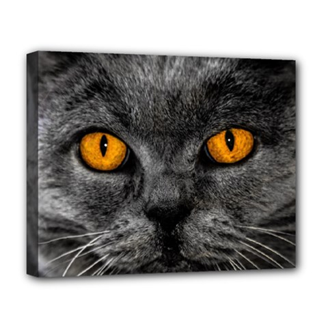 Cat Eyes Background Image Hypnosis Deluxe Canvas 20  X 16   by BangZart