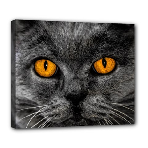 Cat Eyes Background Image Hypnosis Deluxe Canvas 24  X 20   by BangZart