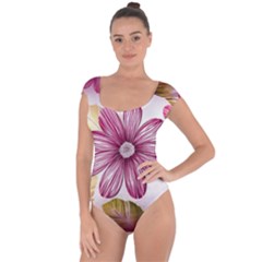 Flower Print Fabric Pattern Texture Short Sleeve Leotard 