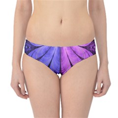 Beautiful Lilac Fractal Feathers Of The Starling Hipster Bikini Bottoms by jayaprime