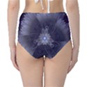 Amazing Fractal Triskelion Purple Passion Flower High-Waist Bikini Bottoms View2