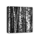 Birch Forest Trees Wood Natural Mini Canvas 4  x 4  View1