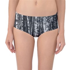 Birch Forest Trees Wood Natural Mid-waist Bikini Bottoms by BangZart