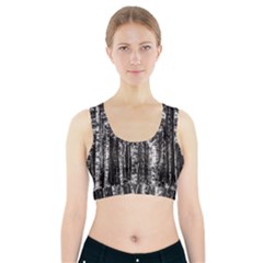 Birch Forest Trees Wood Natural Sports Bra With Pocket by BangZart