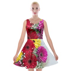 Flowers Gerbera Floral Spring Velvet Skater Dress by BangZart