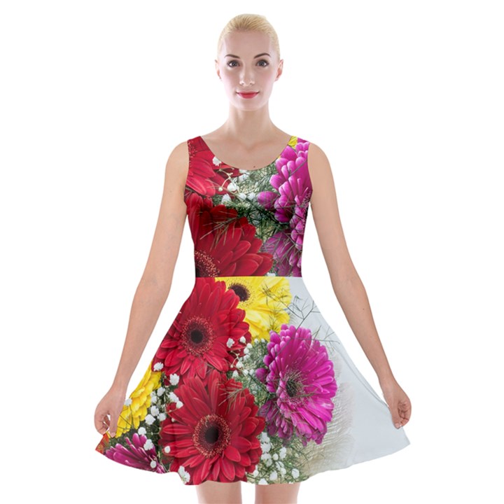 Flowers Gerbera Floral Spring Velvet Skater Dress