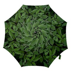 Texture Leaves Light Sun Green Hook Handle Umbrellas (large) by BangZart