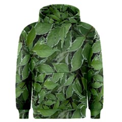 Texture Leaves Light Sun Green Men s Pullover Hoodie by BangZart