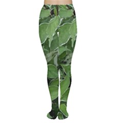 Texture Leaves Light Sun Green Women s Tights by BangZart