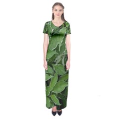 Texture Leaves Light Sun Green Short Sleeve Maxi Dress by BangZart