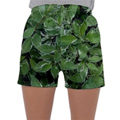 Texture Leaves Light Sun Green Sleepwear Shorts by BangZart