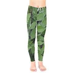 Texture Leaves Light Sun Green Kids  Legging