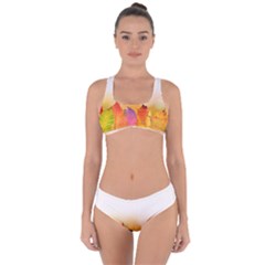 Autumn Leaves Colorful Fall Foliage Criss Cross Bikini Set by BangZart