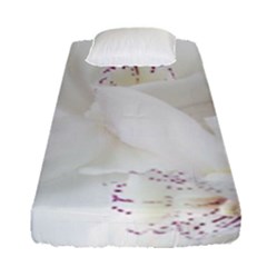 Orchids Flowers White Background Fitted Sheet (single Size) by BangZart